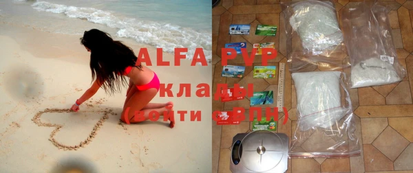 индика Абинск