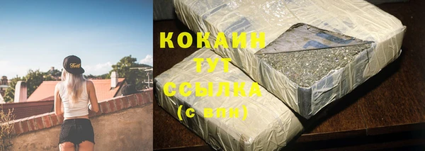 индика Абинск