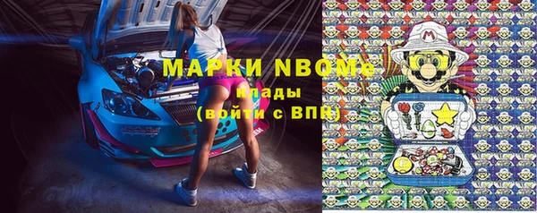 индика Абинск