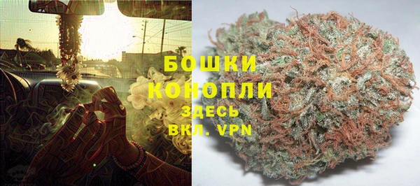 стаф Абаза