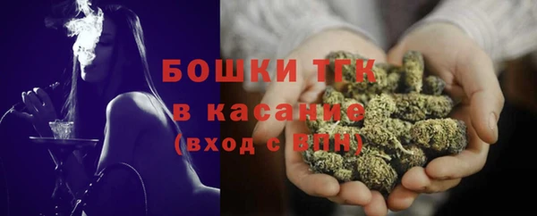 индика Абинск