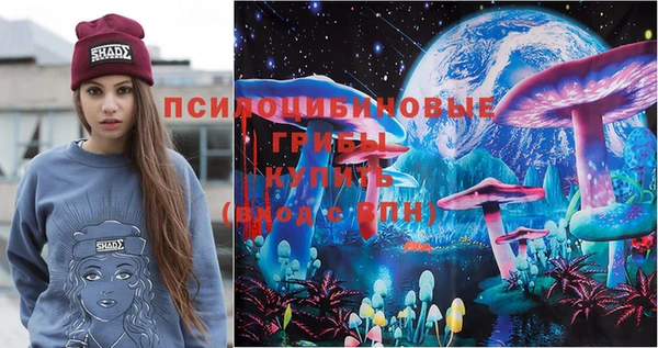 стаф Абаза