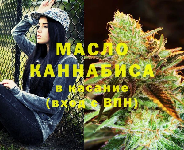 индика Абинск