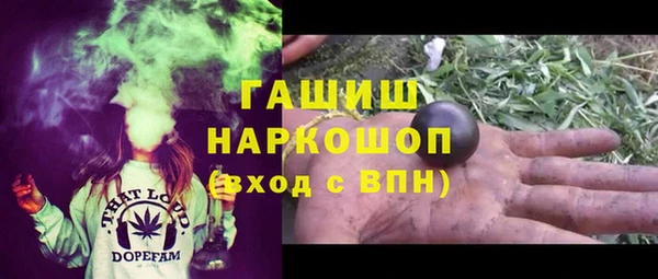 индика Абинск