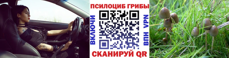 Галлюциногенные грибы мухоморы  Кадников 